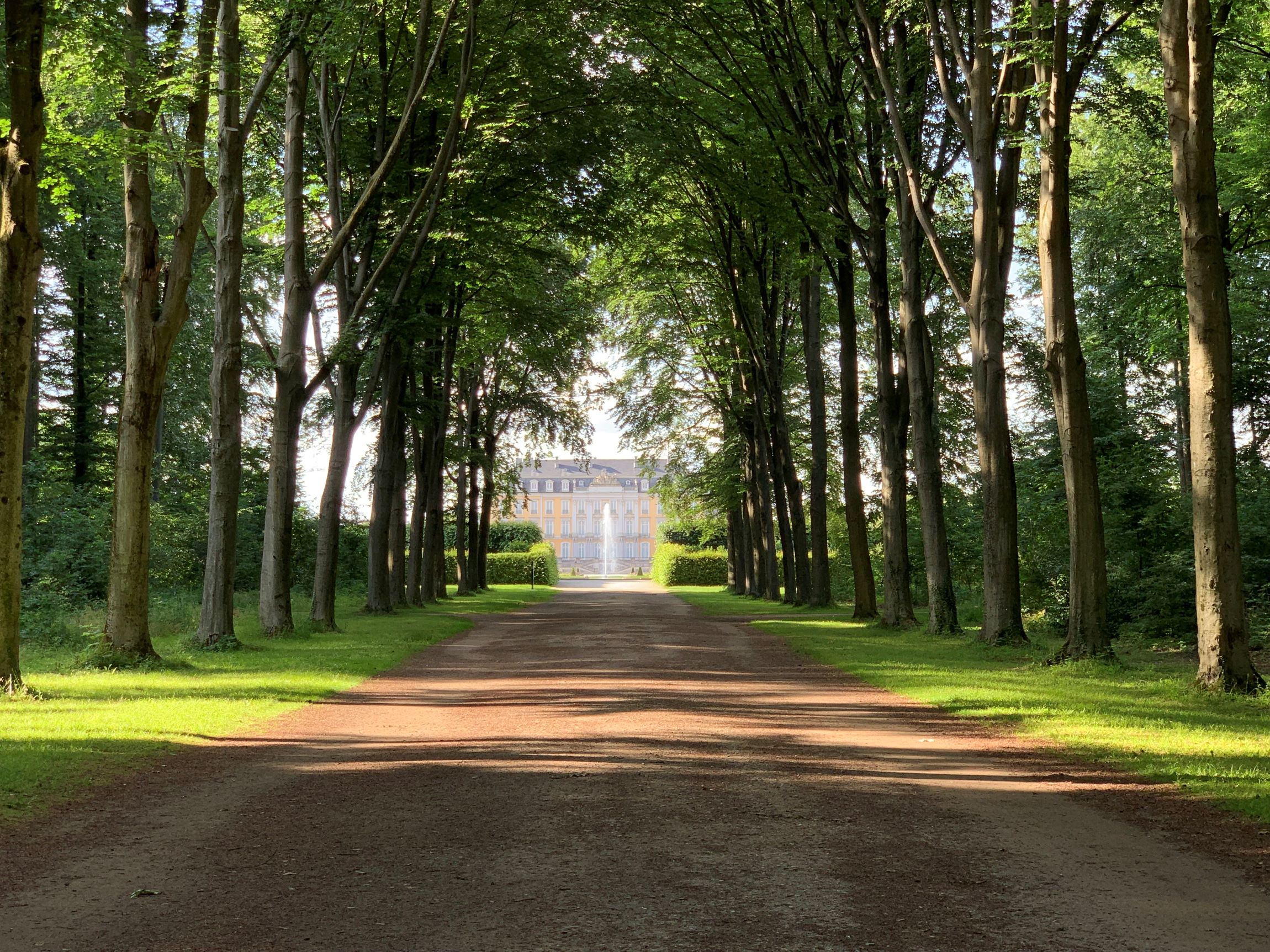Schlösser Augustusburg und Falkenlust in Brühl