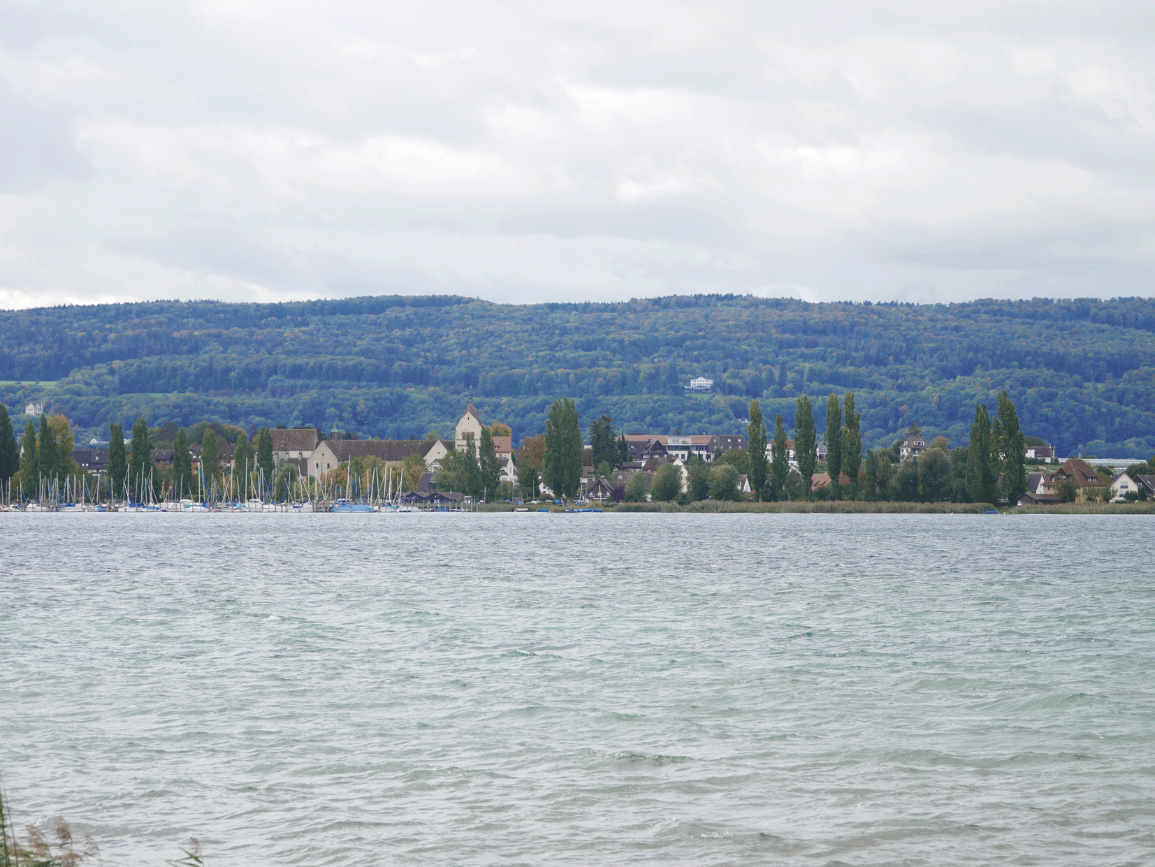 Klosterinsel Reichenau