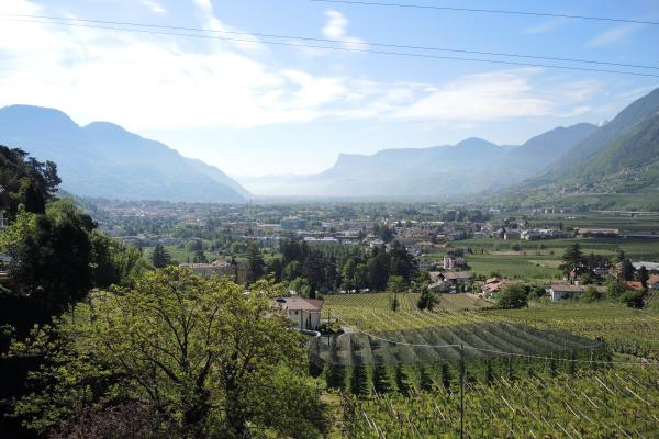 The Historic Promenades of Meran