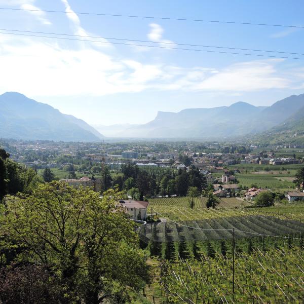 The Historic Promenades of Meran